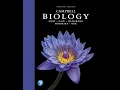 Inside the Cell Structure and Function Explained Chapter 6 - Campbell Biology