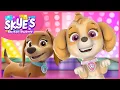 Download Lagu Pup Boogie Dance Party - Skye's Music Party - PAW Patrol Music Video