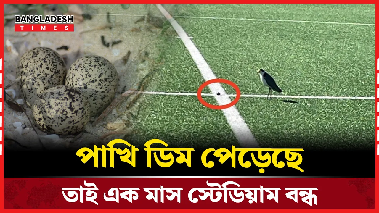 পাখি ডিম পাড়ায় এক মাসের জন্য বন্ধ স্টেডিয়াম