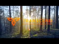 Transcend Multimodality Ketamine Clinic - Austin TX
