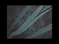 Microtubule Depolymerization