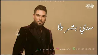 وليد الشامي   مدري بشر ولا كومة حلا بسلة                          دندنها