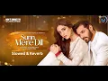 Lagu Sunn Mere Dil OST (Slowed + Reverb) | Ft. Wahaj Ali, Maya Ali | XMUSICLY4U
