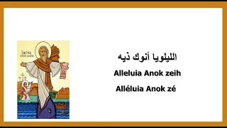 لحن الليلويا أنوك ذيه                                         دندنها