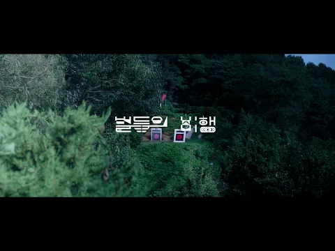 The 22nd CiSFF Official Trailer I 벌들의 비행 (Hive) I 김구림 (Kim Gu-rim)