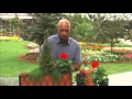 A Window Box for Any Season Gardening Tips