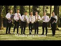 Download Lagu Patric Stancu ✗ Formatia Maistorii - Mandra asta-i hoata | Videoclip Oficial