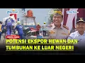 Download Lagu Kepala Badan Karantina RI Sebut Tanjungbalai Punya Potensi Ekspor Hewan dan Tumbuhan ke Luar Negeri