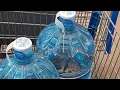 Kroger 4 gallon water jug refill at Walmart PRIMO refilling station How to refill water jug
