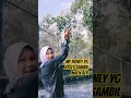 Download Lagu kok my honey yg lg joget jd aq yg bahagia ya #shorts #fyp #viral