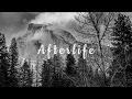 Download Lagu Hailee Steinfeld - Afterlife (Lyrics)
