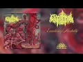 Download Lagu CEREBRAL ROT - Excretion of Mortality (Full Album) 20 Buck Spin
