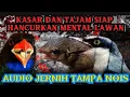 Lagu Masteran PERPADUN KASAR \u0026 TAJAM |JINJING PETULAK, TENGKEK UDANG \u0026 BAJING KEKES