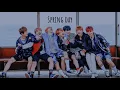 Download Lagu BTS(방탄소년단) - Spring Day (SLOWED DOWN)