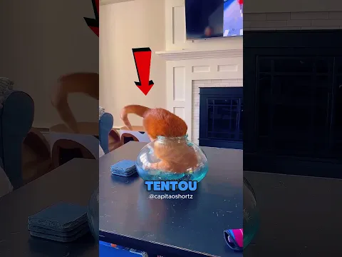 COMO ELE SAI DE LÁ?
