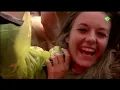 John Mayer - Pinkpop 2010 - Heartbreak Warfare