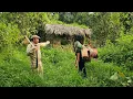 Download Lagu The kind farmer took the girl to an abandoned house in the garden to stay temporarily.