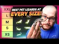 The BEST Pet Lizard At Every Size