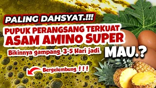 Download PALING DAHSYAT.!!! MEMBUAT PUPUK PERANGSANG TERKUAT ASAM AMINO SUPER | Tanaman Subur Berbuah Lebat MP3