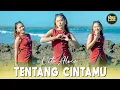 Download Lagu Vita Alvia - Tentang Cintamu (DJ Remix)