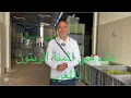 Download Lagu معاصر الزيتون تشرع في الطحن بالمغرب وثمن الزيتون يشهد انخفاضا كبيرا هذا الموسم