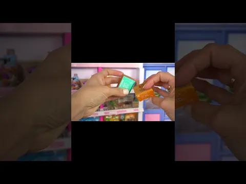 Diy Miniature Doll Pet Shop Restock