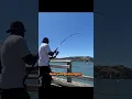 Download Lagu It’s a beautiful day for… #seizethedayfishing #fishing #positivevibes #peace