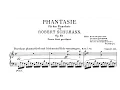 Download Lagu Schumann: Fantasie in C, Op.17 (Andsnes)