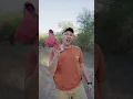 Download Lagu Pipe Bombs And Molotov Cocktails Are Actually Legal