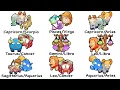 Every Zodiac Compatibility in 17 Minutes