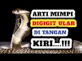 Download Lagu Arti Mimpi Digigit Ular Di Tangan Kiri