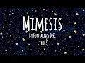 Mimesis - Fontaines D.C. (Lyrics)