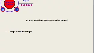 Selenium Python Webdriver Tutorial - Compare Online Images