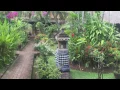 Download Lagu The garden of 'Rumah Kita', Lovina Beach, Bali, Indonesia.