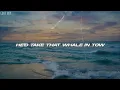 Nathan Evans - Wellerman (Sea Shanty) (Lyrics)
