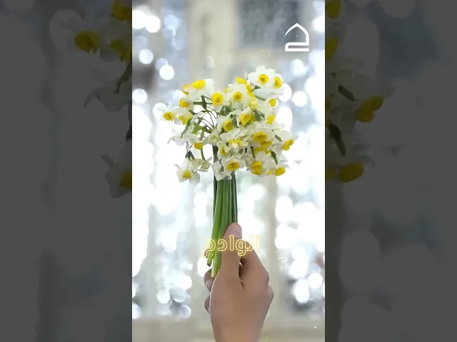 ⁣مَنْ زارَ قبرَكِ عارفًا فجزاؤهُ.....يومَ الحسابِ بجنّةِ المُختارِ