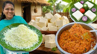 PANEER BHURJI 😮 யாருமே சாப்பிட்டு இருக்க மாட்டாங்க இந்த மாதிரி பன்னீர் புர்ஜி 😋👌செம டேஸ்டி