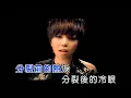 阿密特│張惠妹 A-MIT - 分生 Split (official官方完整KARAOKE版MV)
