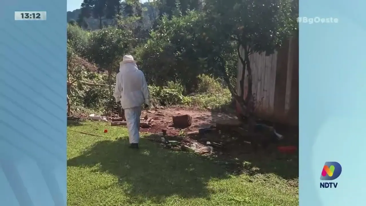 Ataque de abelhas dá trabalho para o Corpo de Bombeiros de Videira