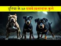 Top 10 dangerous dog in the world 2025 most dangerous dog breeds in the world - part 2