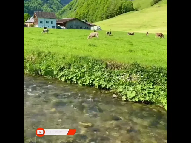 ⁣عطاء الله يختلف باختلاف المراحل العمرية ||  الشيخ الوائلي (رحمهُ الله)