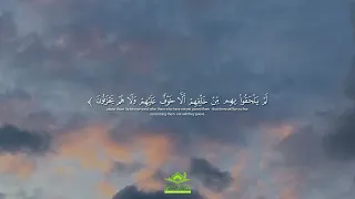 تلاوة رائعة ف ر ح ين ب م ا آت اه م الل ه م ن ف ض ل ه سورة آل عمران قرآن 