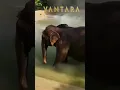 Download Lagu https://www.instagram.com/reel/DPOwVOrEpRB/?igsh=MTl1bXgxcG1kcmFtNA==