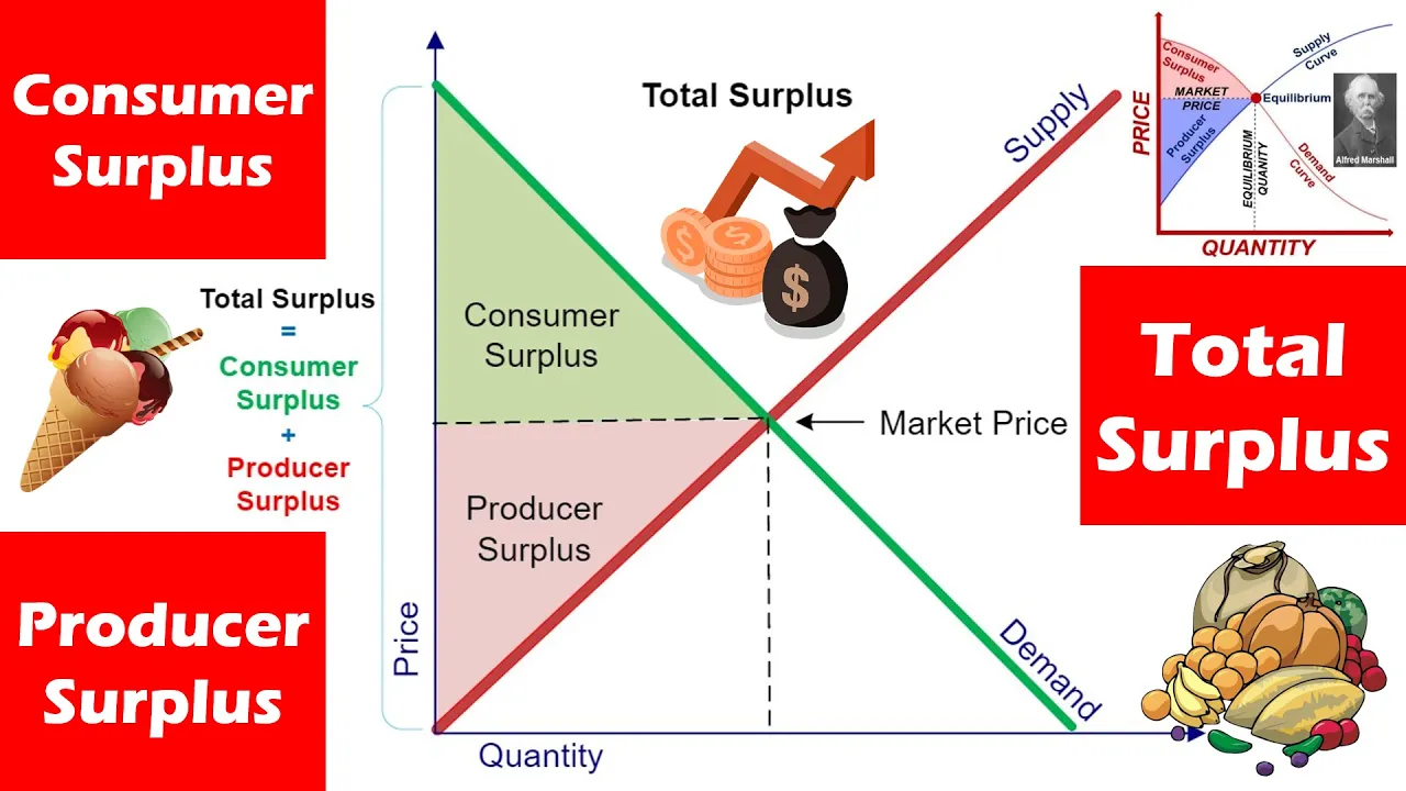 Relation Between Consumer Surplus, Producer Surplus & Total Surplus - Basic Concepts of Economics.