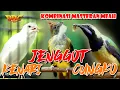 Download Lagu KOMBINASI MASTERAN JENGGOT - CUNGKO - KENARI | BERJEDA DAN GAMPANG DITIRU BURUNG KICAU
