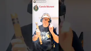                     دندنها