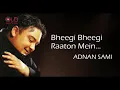 Download Lagu Bheegi Bheegi Raaton Mein - Adnan Sami