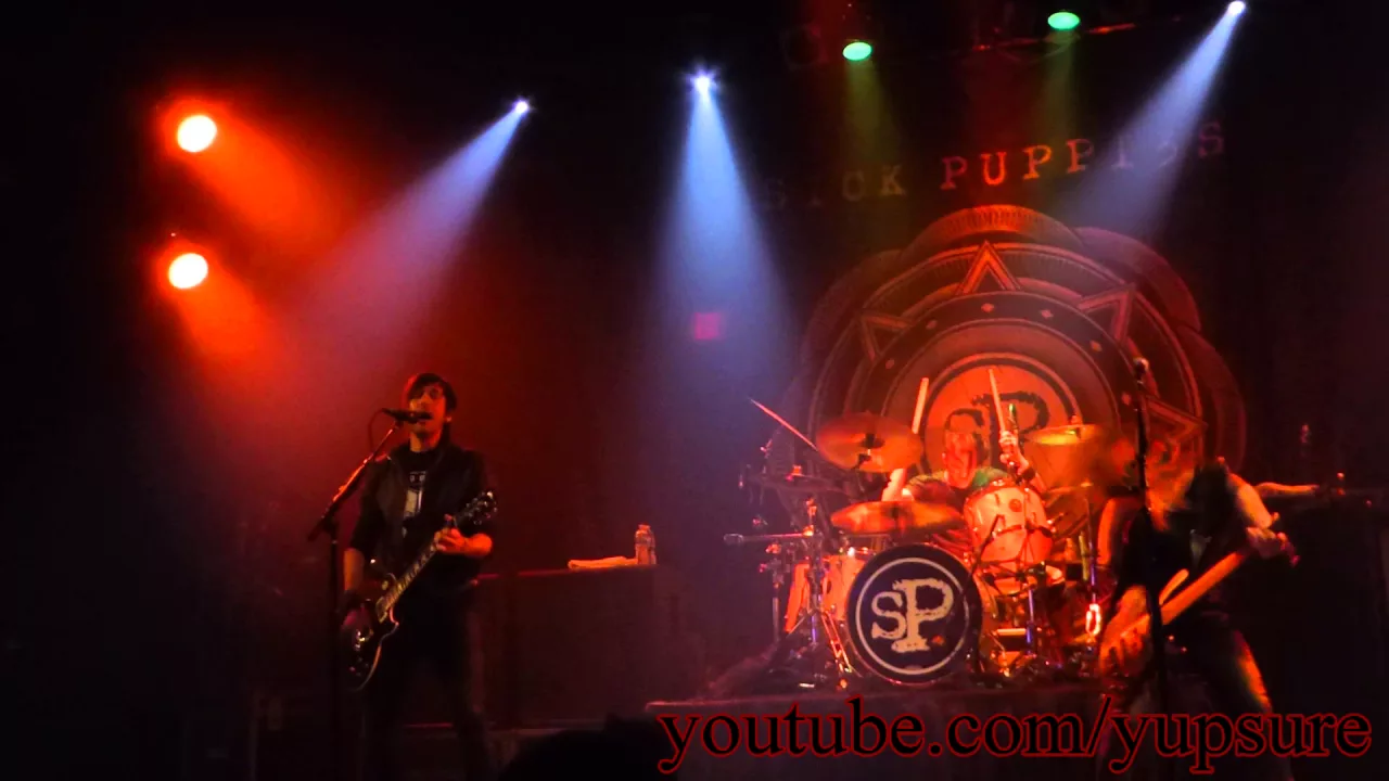 Sick Puppies War Live HD HQ Audio!!! The Chance Theater