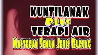 Masteran Semua Jenis Burung ➡️Kuntilanak Plus Terapi Air✔️