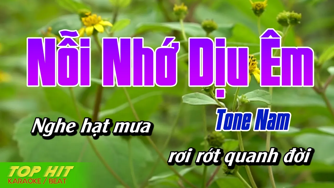 Nỗi Nhớ Dịu Em Karaoke Tone Nam | Beat Phối Nhạc Sống Mới Chuẩn TOP HIT KARAOKE